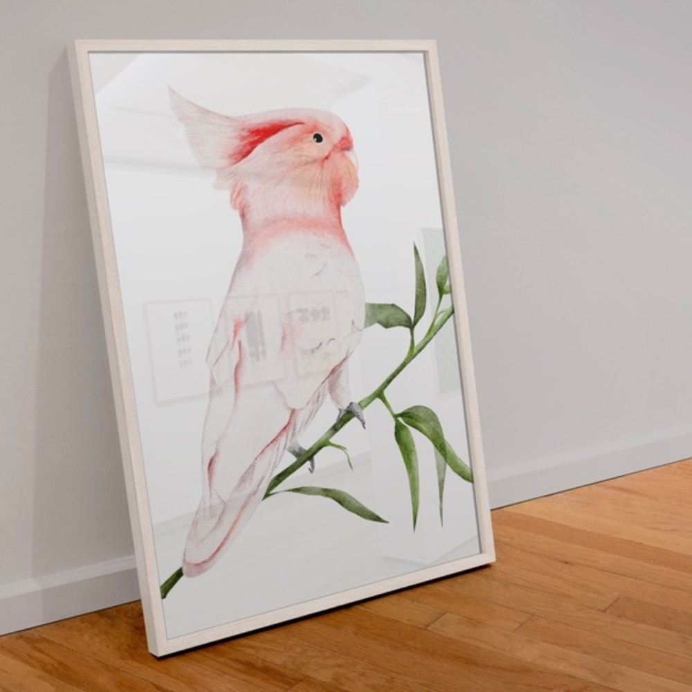 Wall Art Major Michell's Cockatoo Print Unframed - Picture 2 of 6